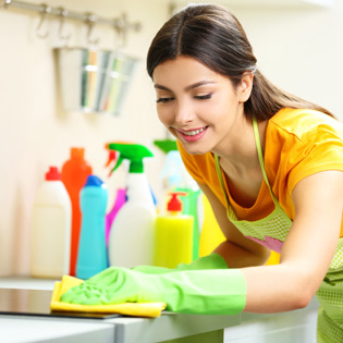 Professional Domestic Cleaning Services